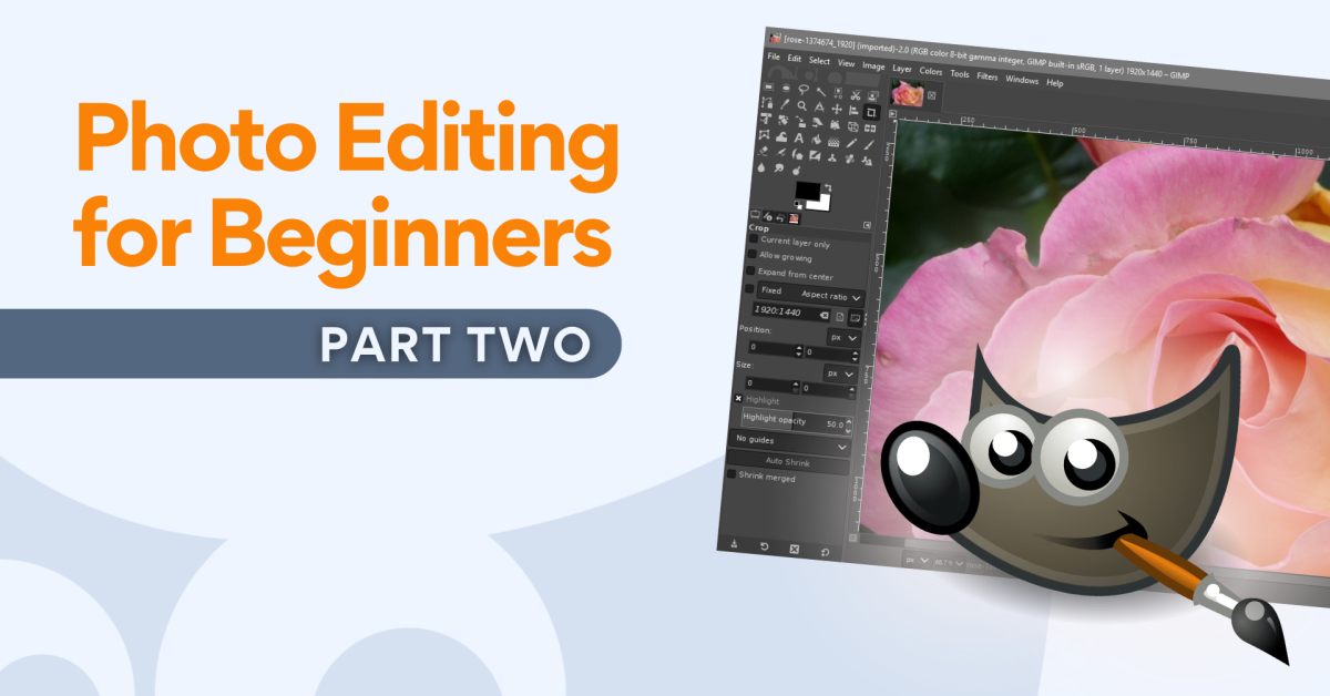 Photo Editing for Beginners: Part Two